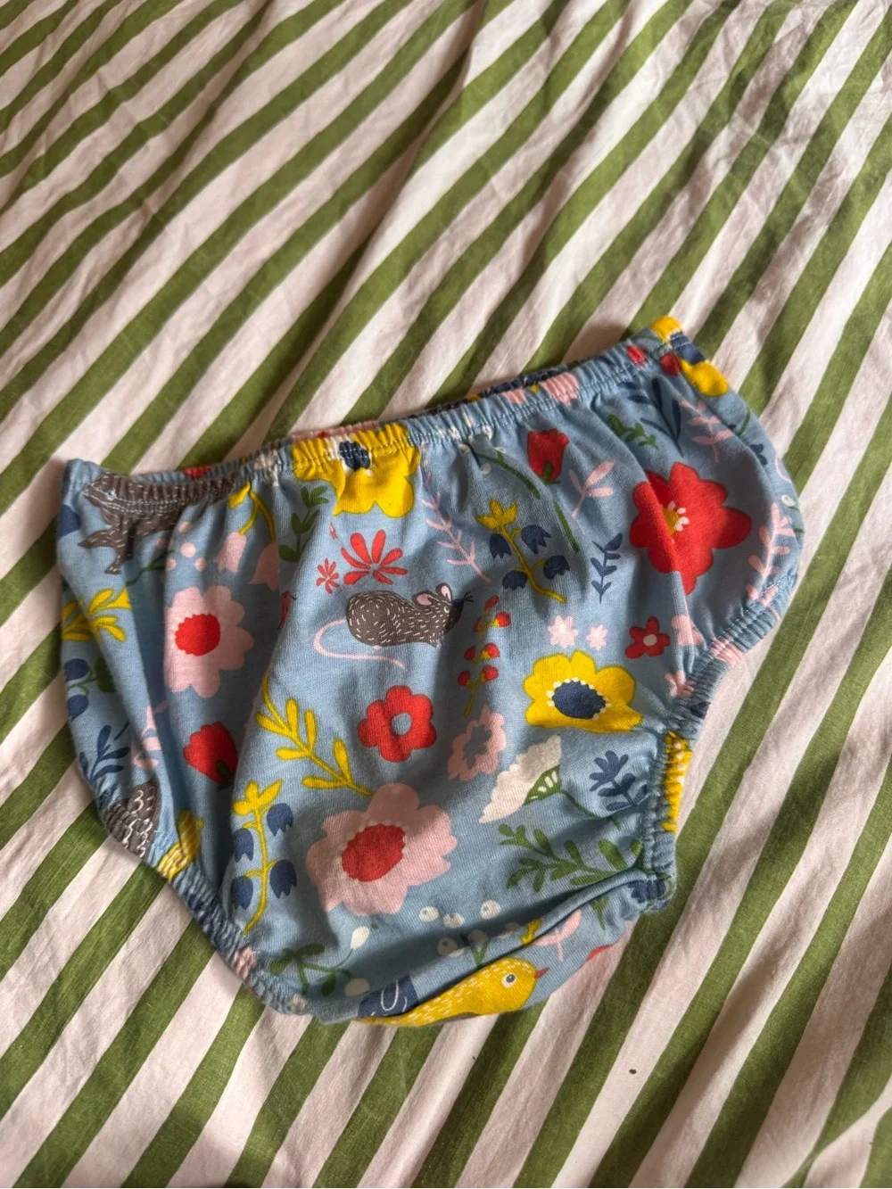 Mini Boden bloomers (or diaper cover) a whimsical all-over  wild garden flowers